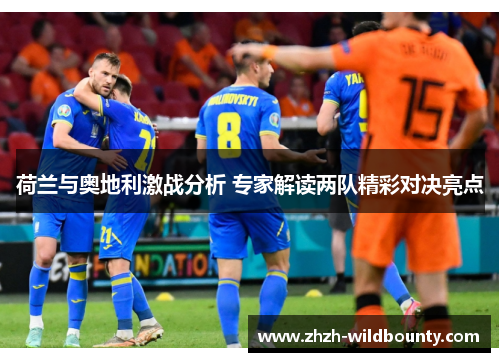 荷兰与奥地利激战分析 专家解读两队精彩对决亮点