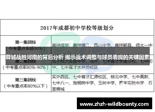 蓉城战胜河南的背后分析 揭示战术调整与球员表现的关键因素