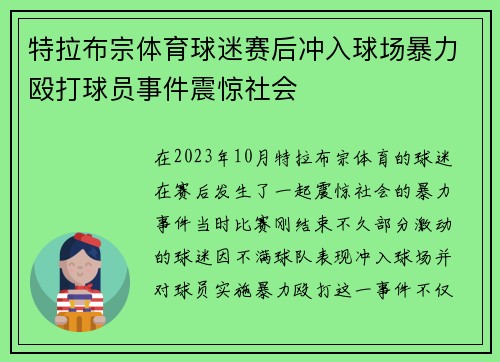 特拉布宗体育球迷赛后冲入球场暴力殴打球员事件震惊社会 特拉布宗体育球迷赛后冲入球场暴力殴打球员事件震惊社会